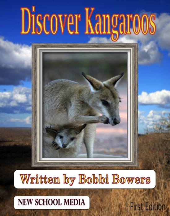 Discover Kangaroos