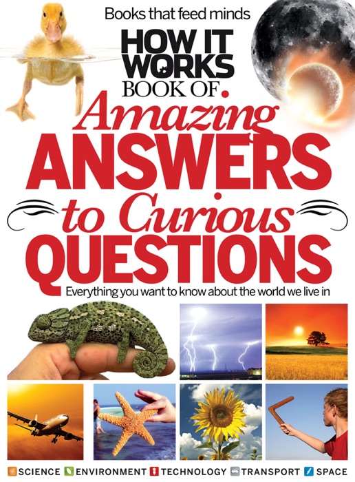 How It Works Book of Amazing Answers to Curious Questions