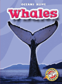 Whales - Ann Herriges
