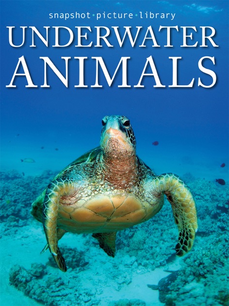 Underwater Animals by Snapshot Picture Library on Apple Books