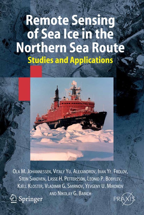 Remote Sensing of Sea Ice in the Northern Sea Route