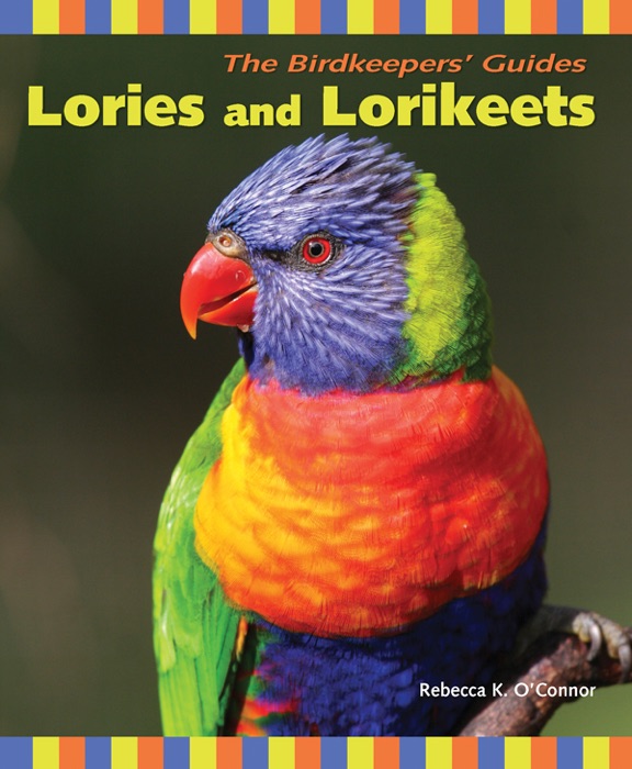 Lories and Lorikeets