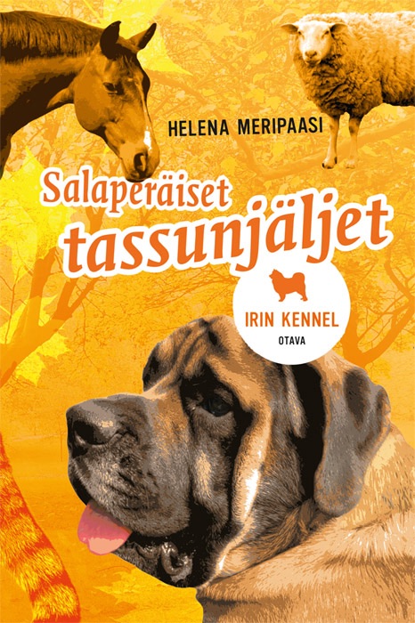 Salaperäiset tassunjäljet