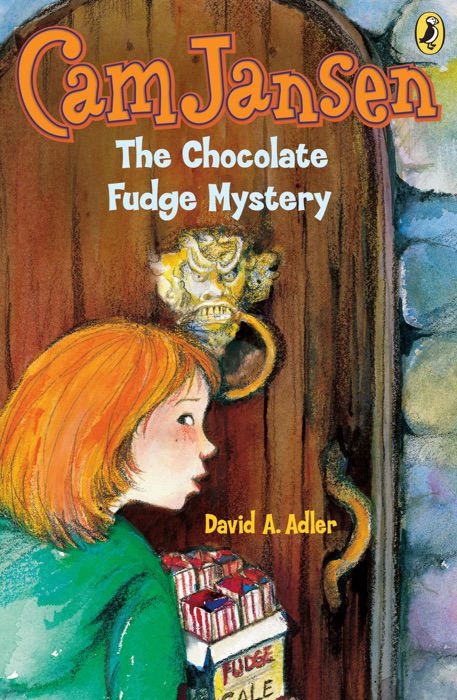 Cam Jansen: The Chocolate Fudge Mystery #14