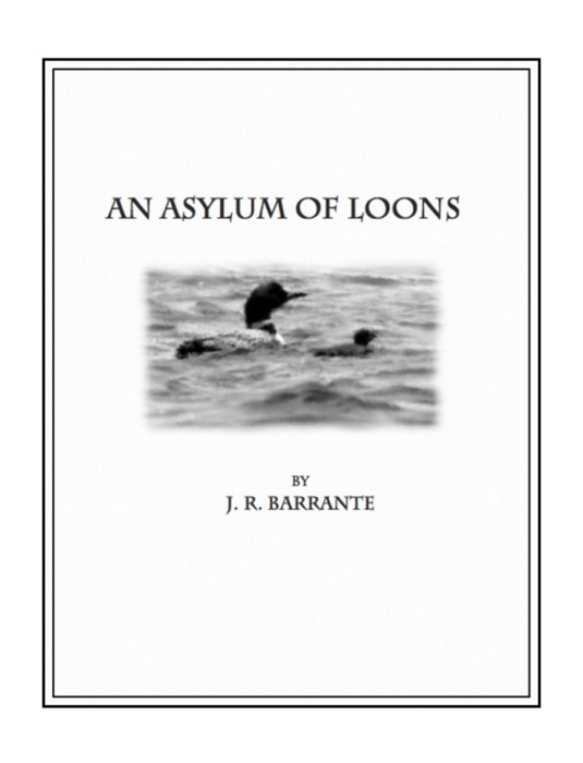 An Asylum of Loons