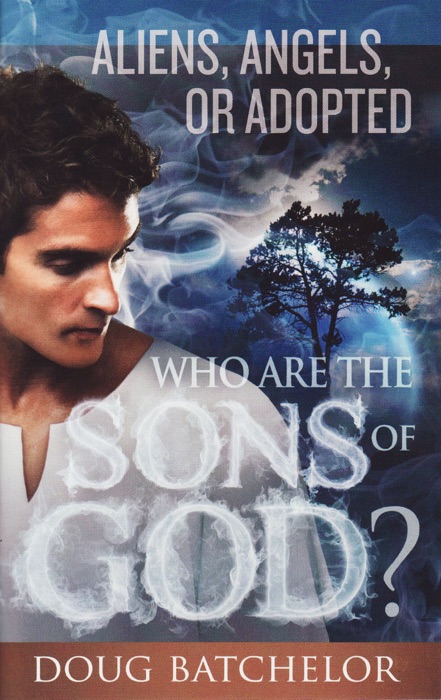 Who are the Sons of God?