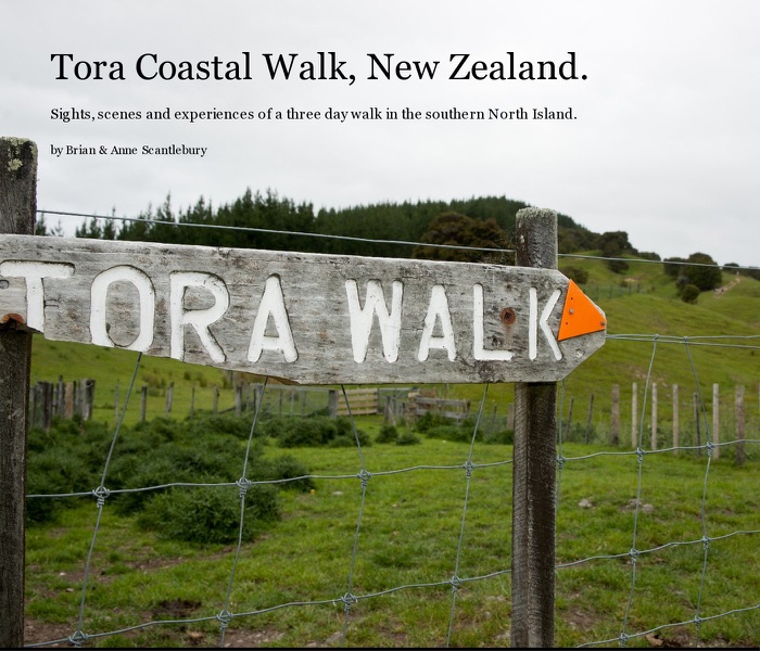 Tora Coastal Walk, New Zealand.