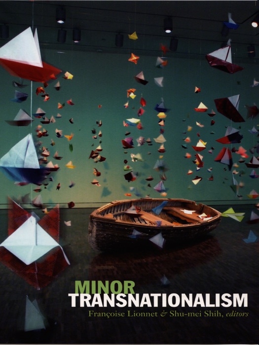 Minor Transnationalism