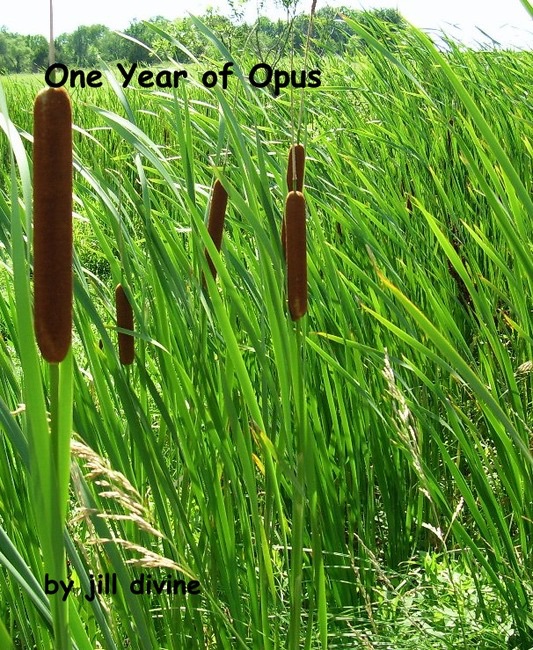 One Year of Opus