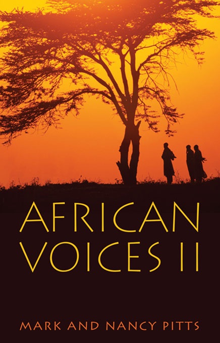 African Voices II