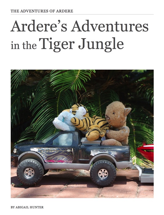 Ardere’s Adventures in the Tiger Jungle