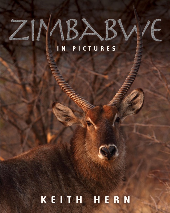 Zimbabwe in Pictures