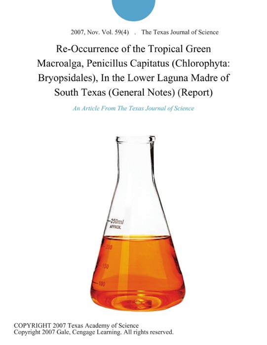 Re-Occurrence of the Tropical Green Macroalga, Penicillus Capitatus (Chlorophyta: Bryopsidales), In the Lower Laguna Madre of South Texas (General Notes) (Report)