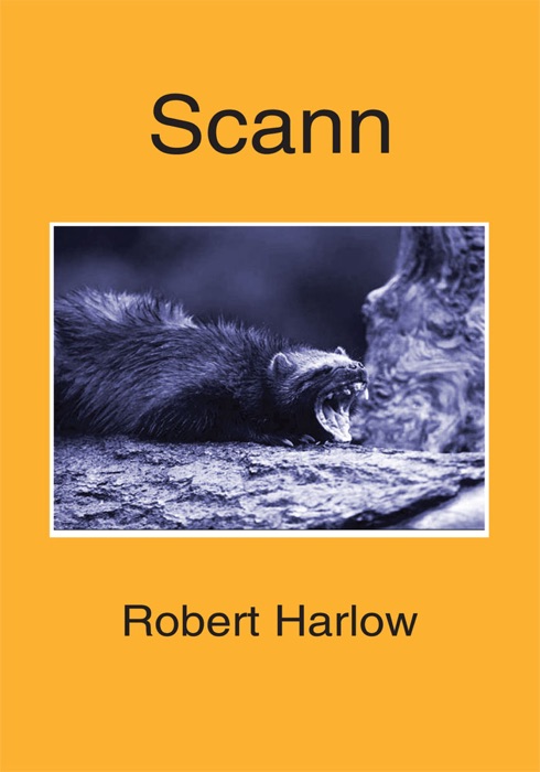 Scann