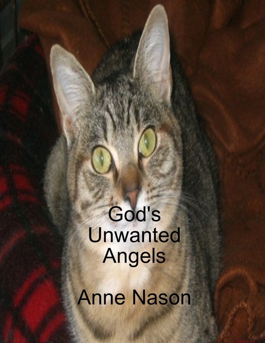 God's Unwanted Angels