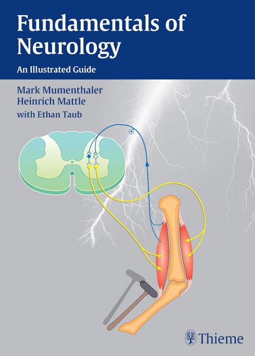 Fundamentals of Neurology