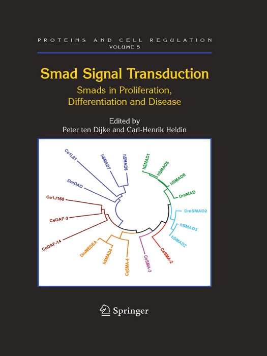 Smad Signal Transduction