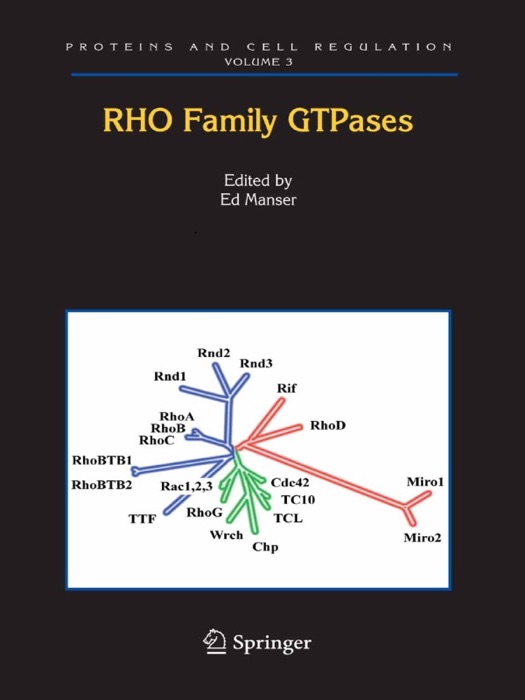 Rho Family GTPases