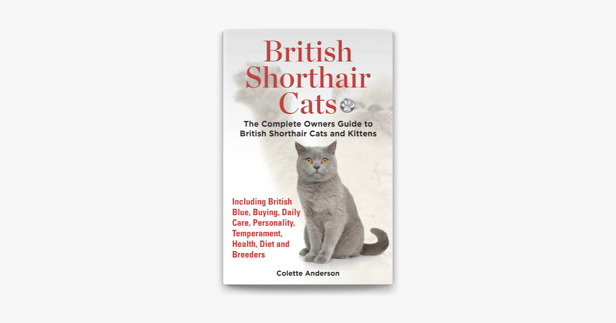 British Shorthair Cats The Complete Owners Guide To British