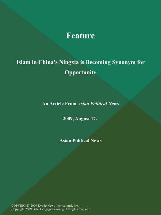 Feature: Islam in China's Ningxia is Becoming Synonym for Opportunity