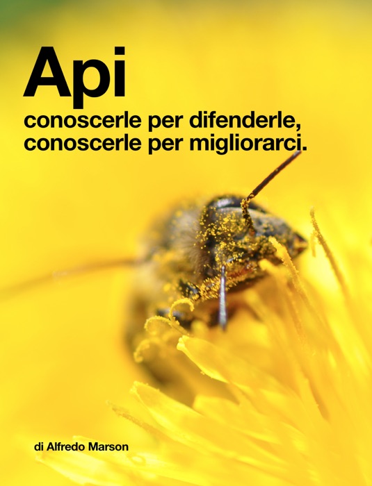 Api