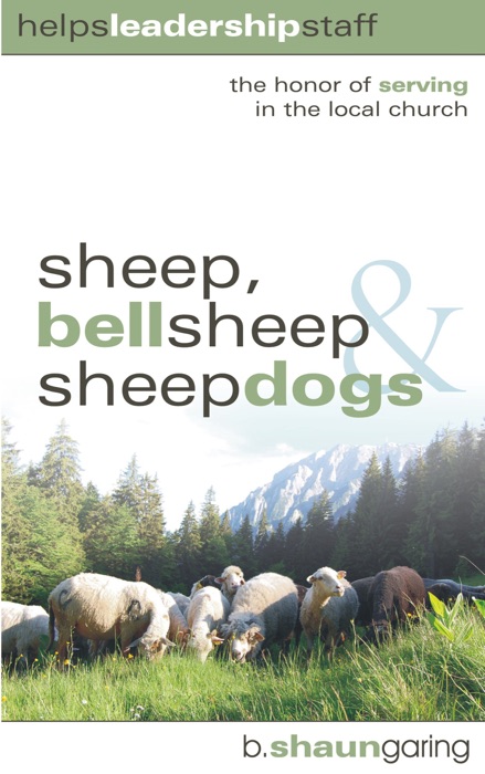Sheep, Bell Sheep, Sheep Dogs