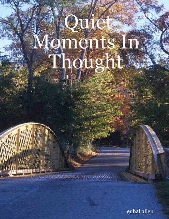 Quiet Moments In Thought