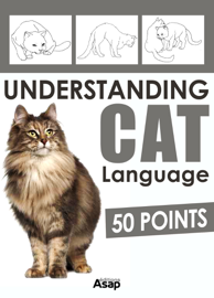 Understanding Cat Language - 50 Points