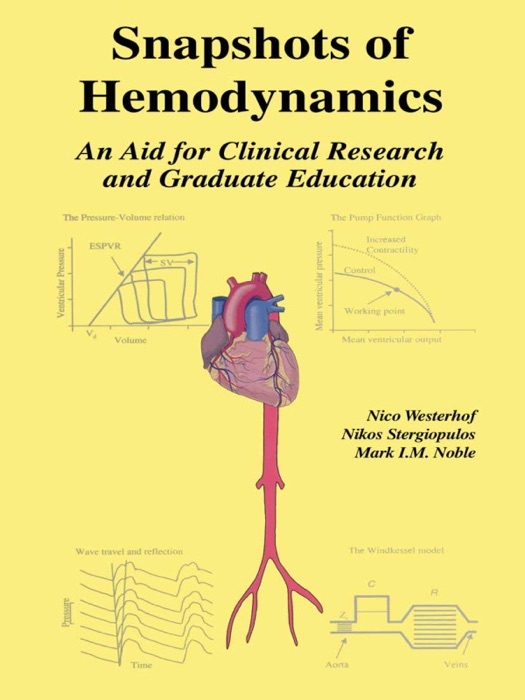 Snapshots of Hemodynamics