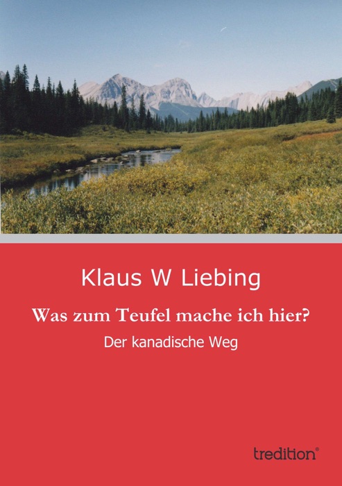 Was zum Teufel mache ich hier?