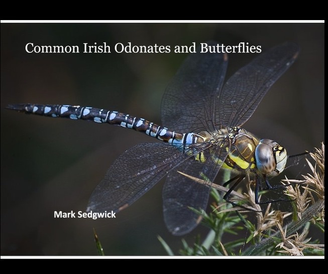 Common Irish Odonates and Butterflies