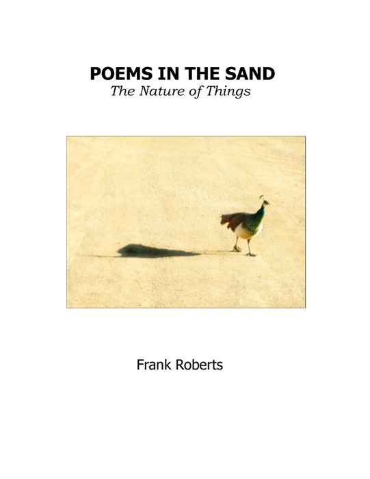 Poems in the Sand