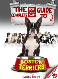 The Complete Guide to Boston Terriers