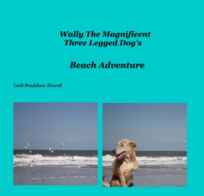 Wally the Magnificent Three Legged Dog's