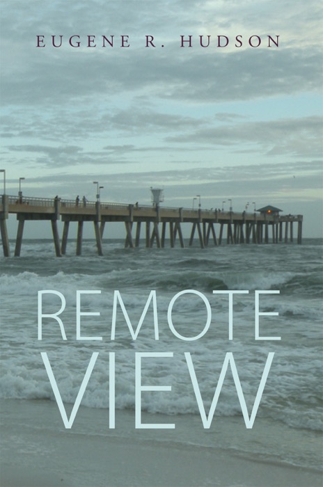 Remote View