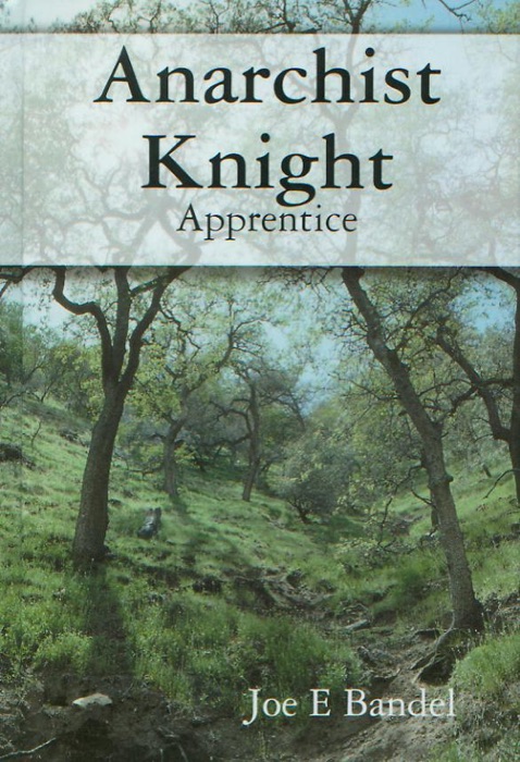 Anarchist Knight: Apprentice