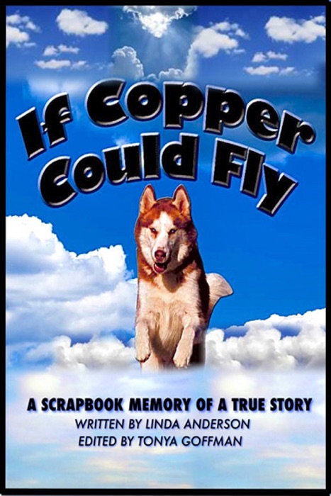 If Copper Could Fly a true story