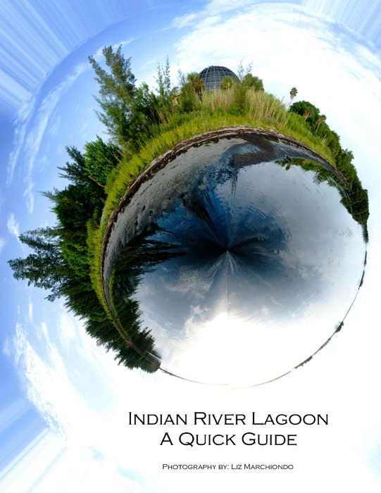 Indian River Lagoon