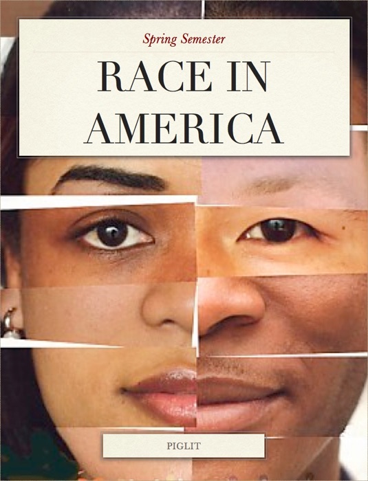 Race in America