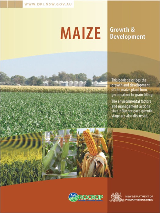 Maize Growth & Development