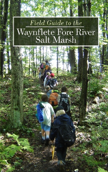 Field Guide to the Waynflete Fore River Salt Marsh