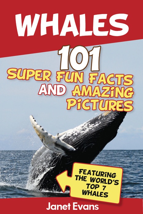 Whales: 101 Fun Facts & Amazing Pictures