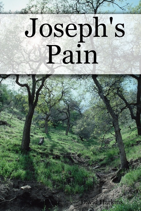 Joseph's Pain