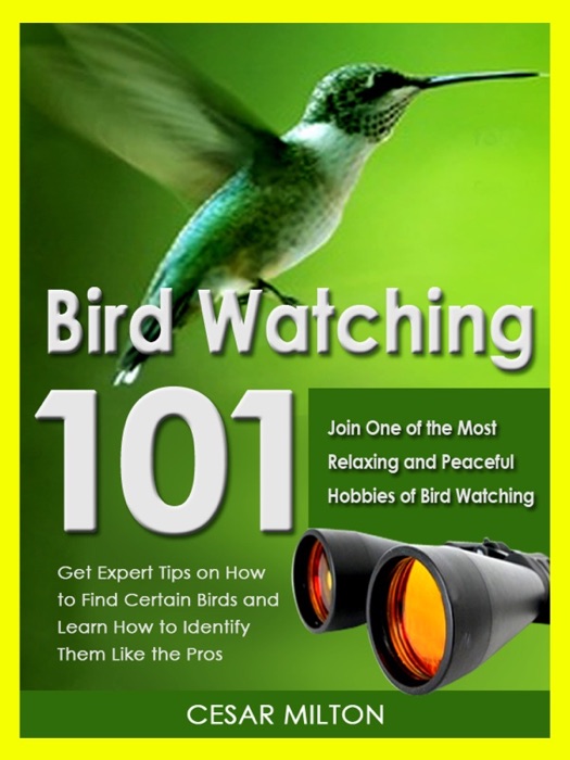 Bird Watching 101