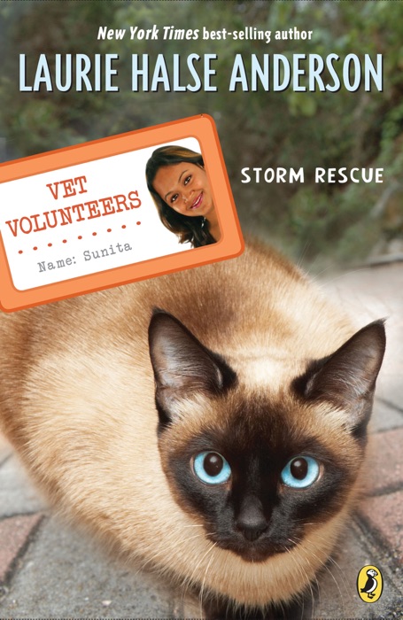 Storm Rescue #6