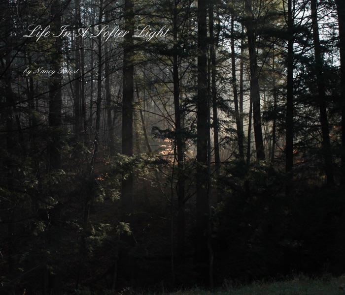 Life In A Softer Light