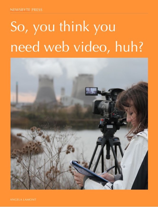 So You Think You Need Web Video, Huh?