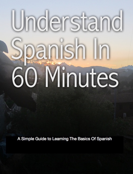 Understand Spanish In 60 Minutes
