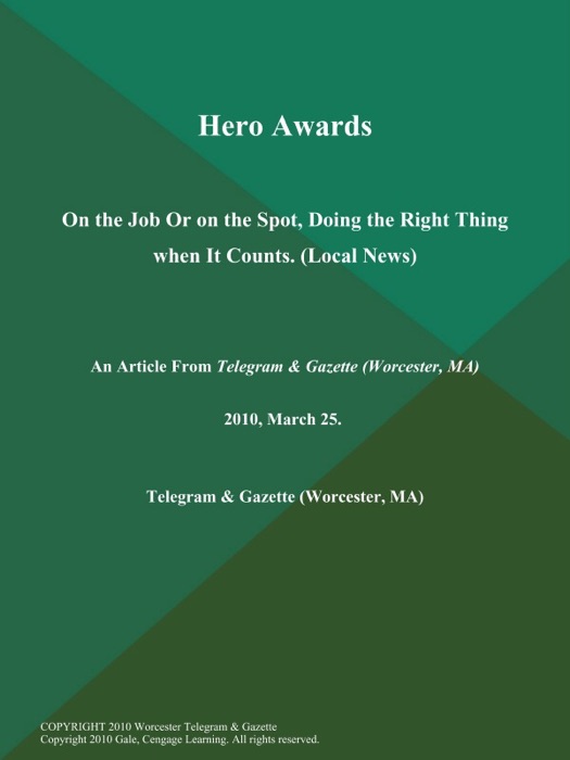 Hero Awards; On the Job Or on the Spot, Doing the Right Thing when It Counts (Local News)