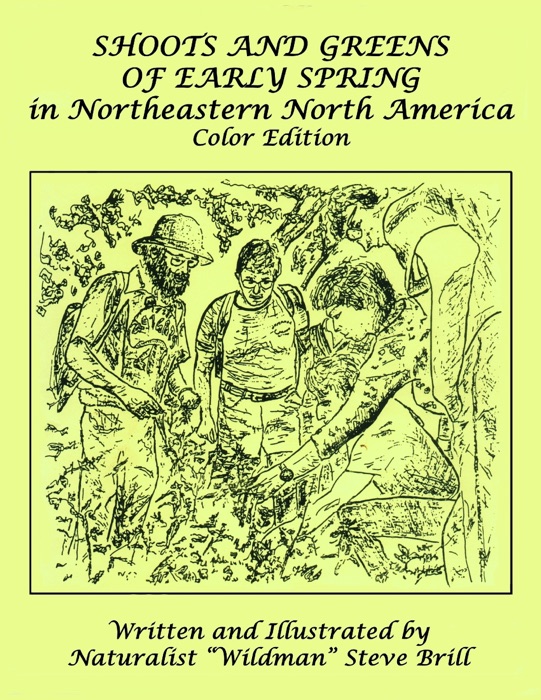 Shoots and Greens of Early Spring In Northeastern North America